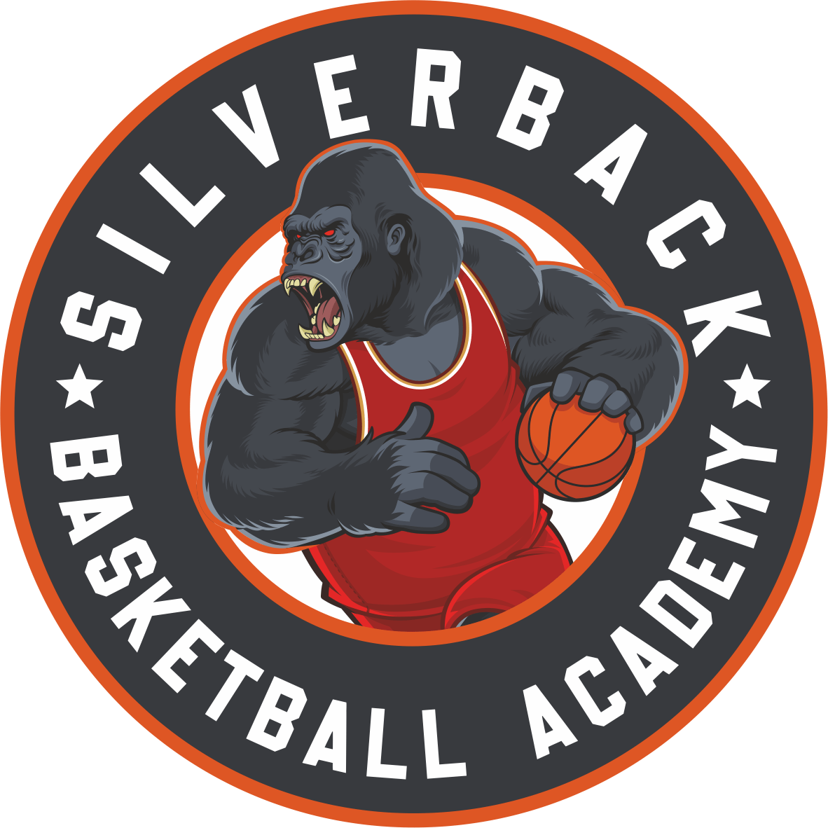 (c) Silverback-basketball.de